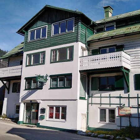 Apartment Haarlem Gosau Εξωτερικό φωτογραφία