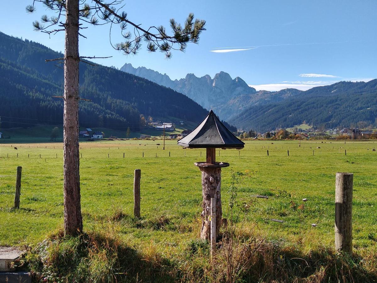 Apartment Haarlem Gosau Εξωτερικό φωτογραφία